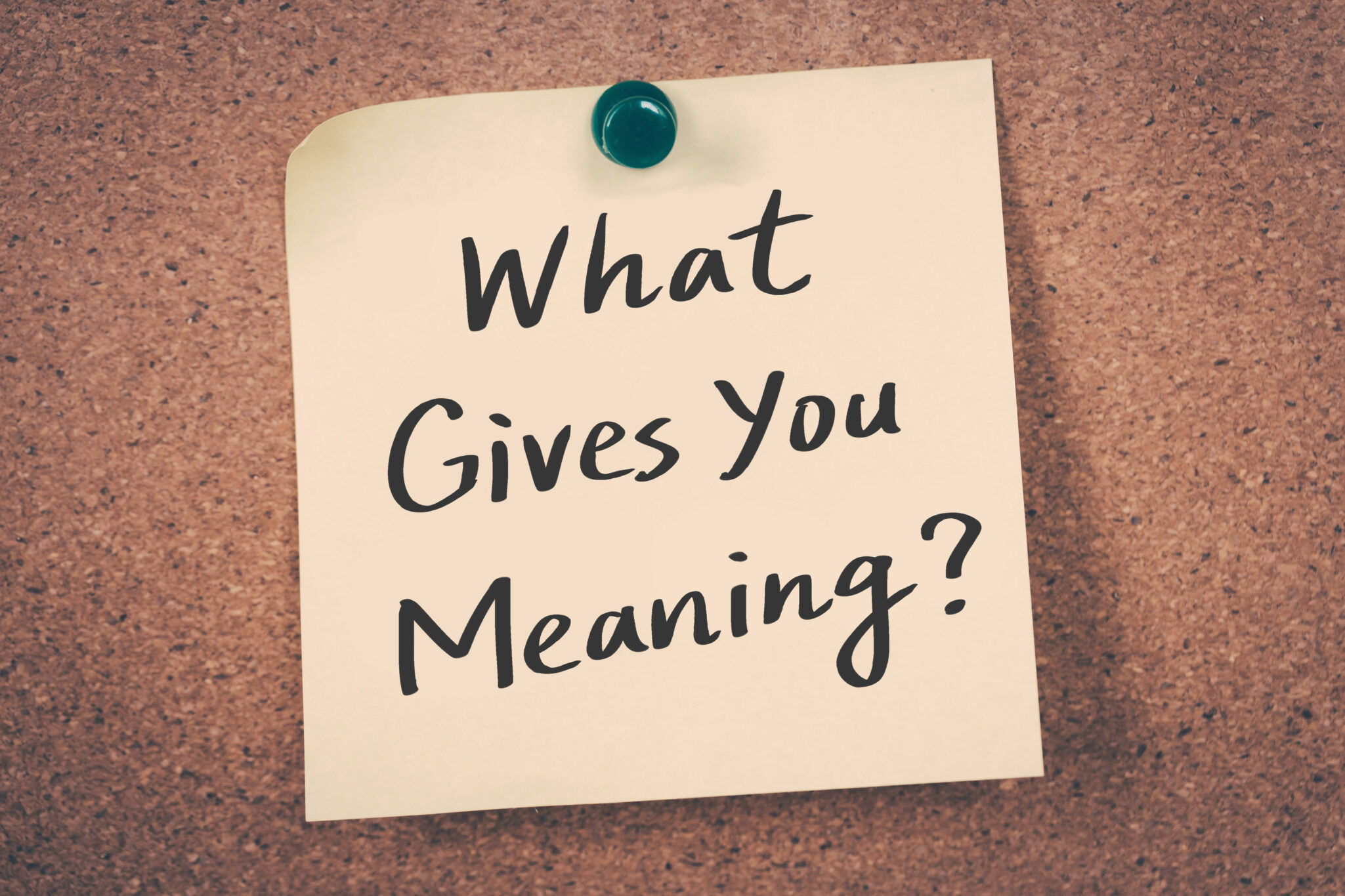 The Neuroscience of Purpose: Why Pausing to Reconnect Changes Everything